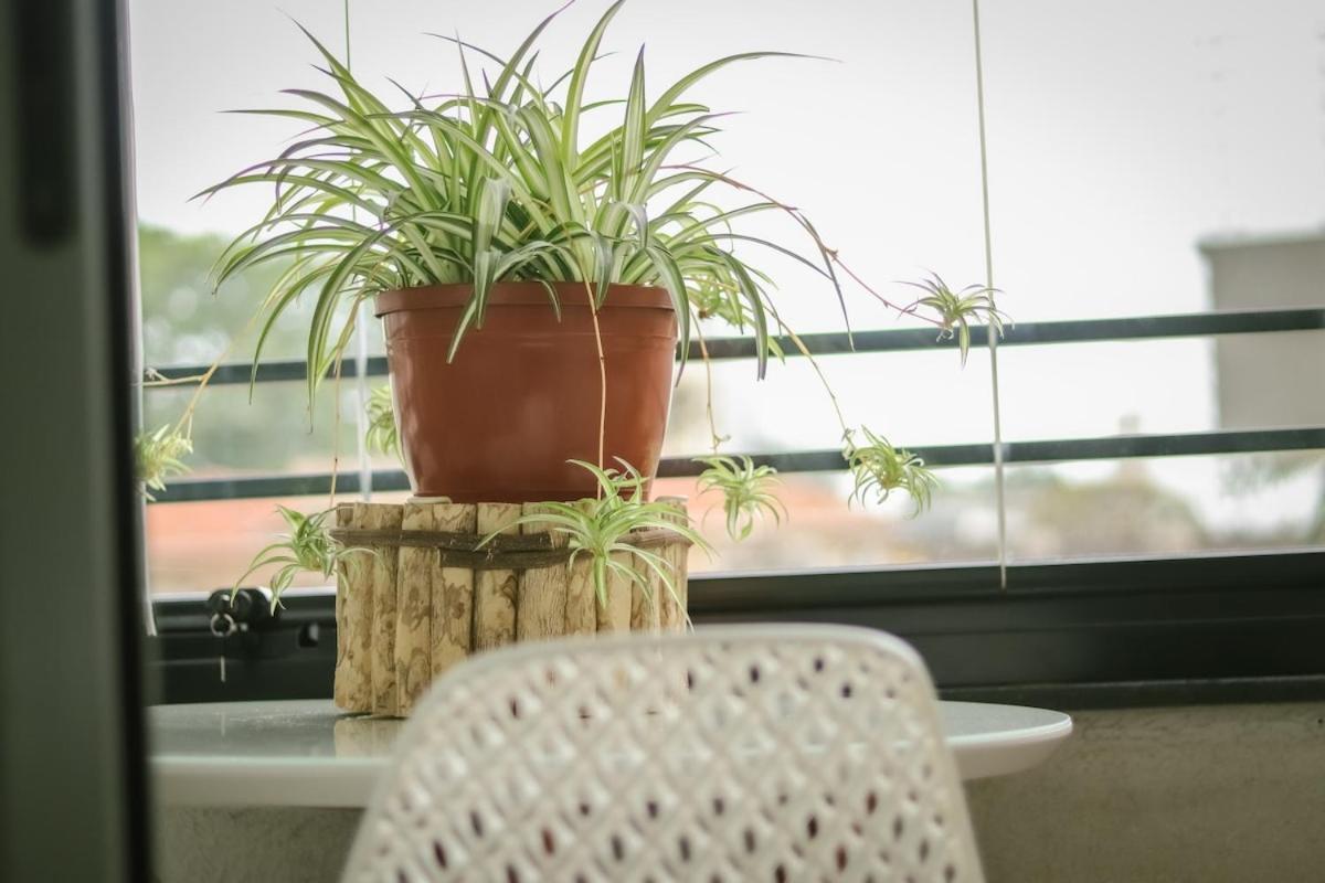 Apartamento Zen | Conforto E Paz *